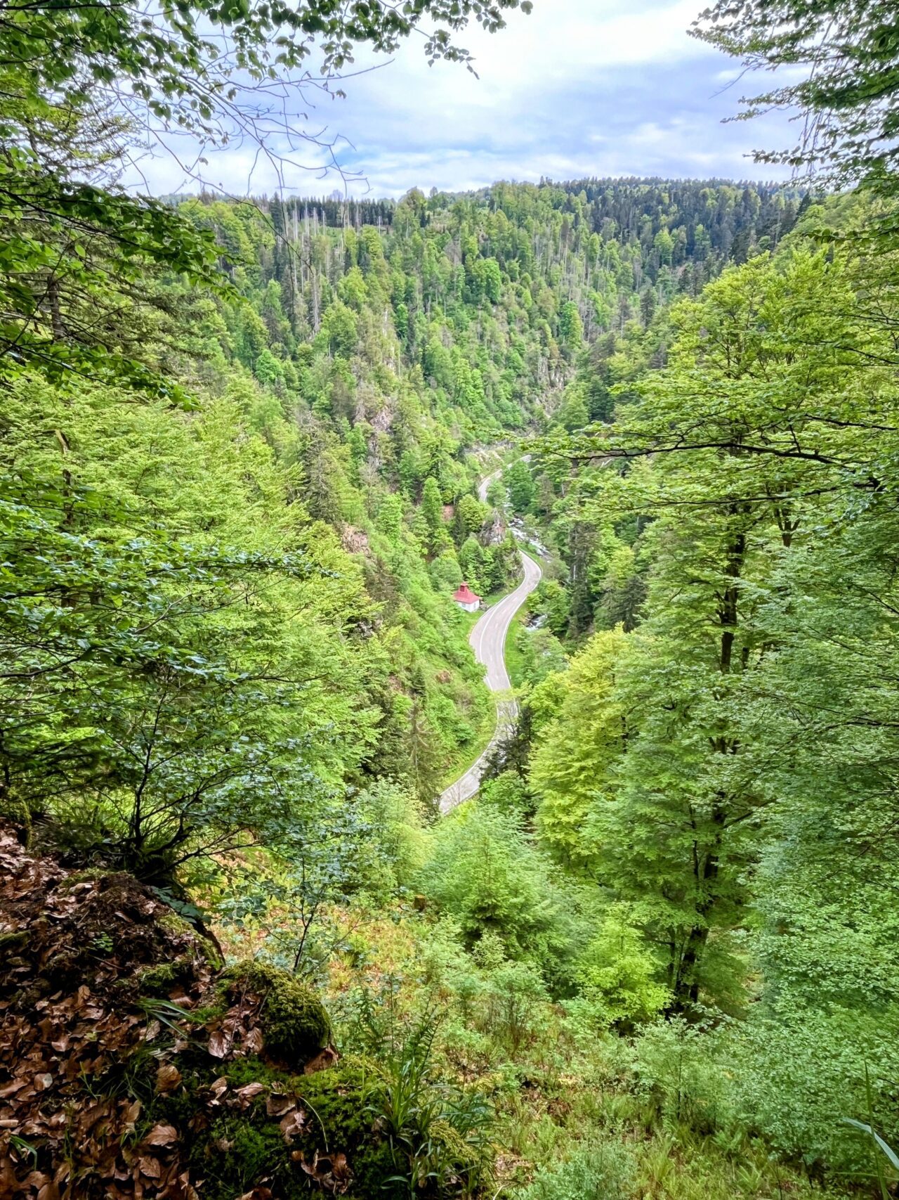 wanderung_schluchtensteig_etappe_5_todtmoos_wehr_