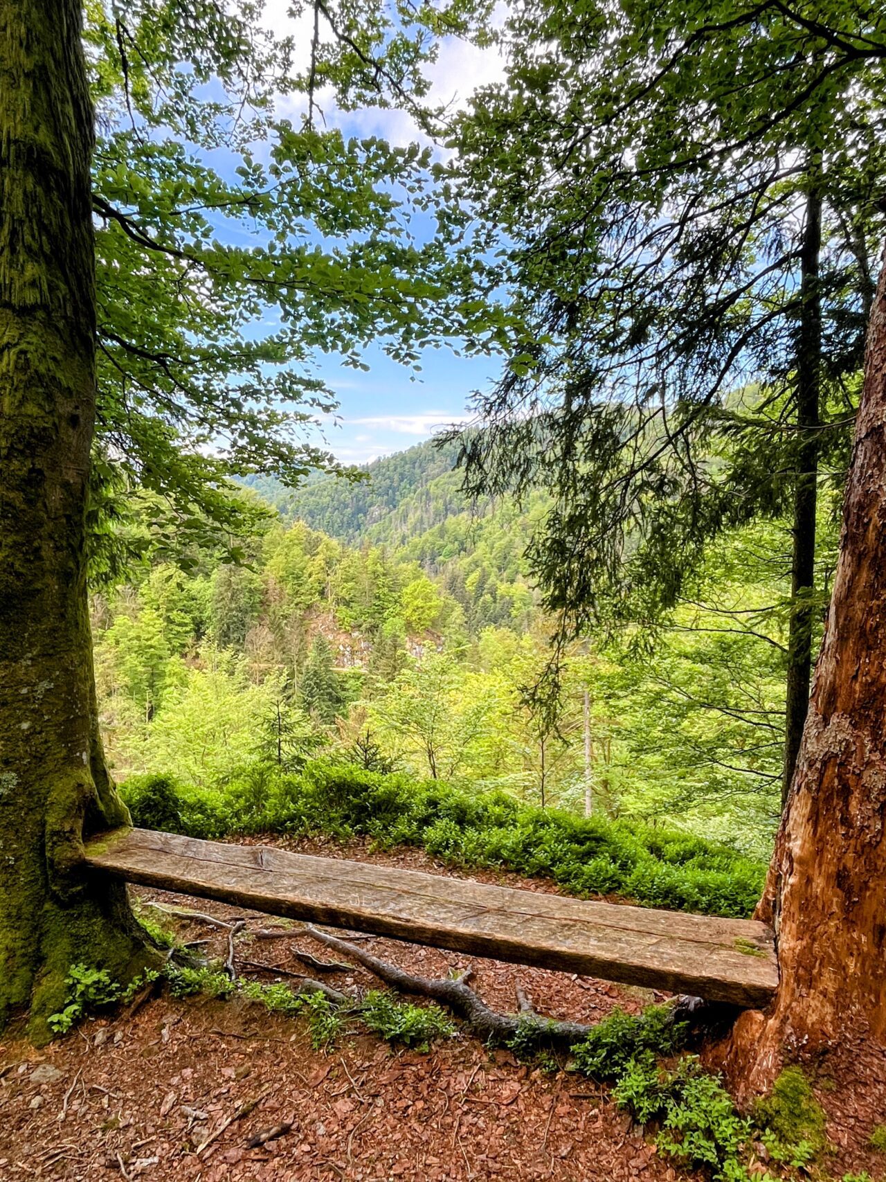 wanderung_schluchtensteig_etappe_5_todtmoos_wehr_