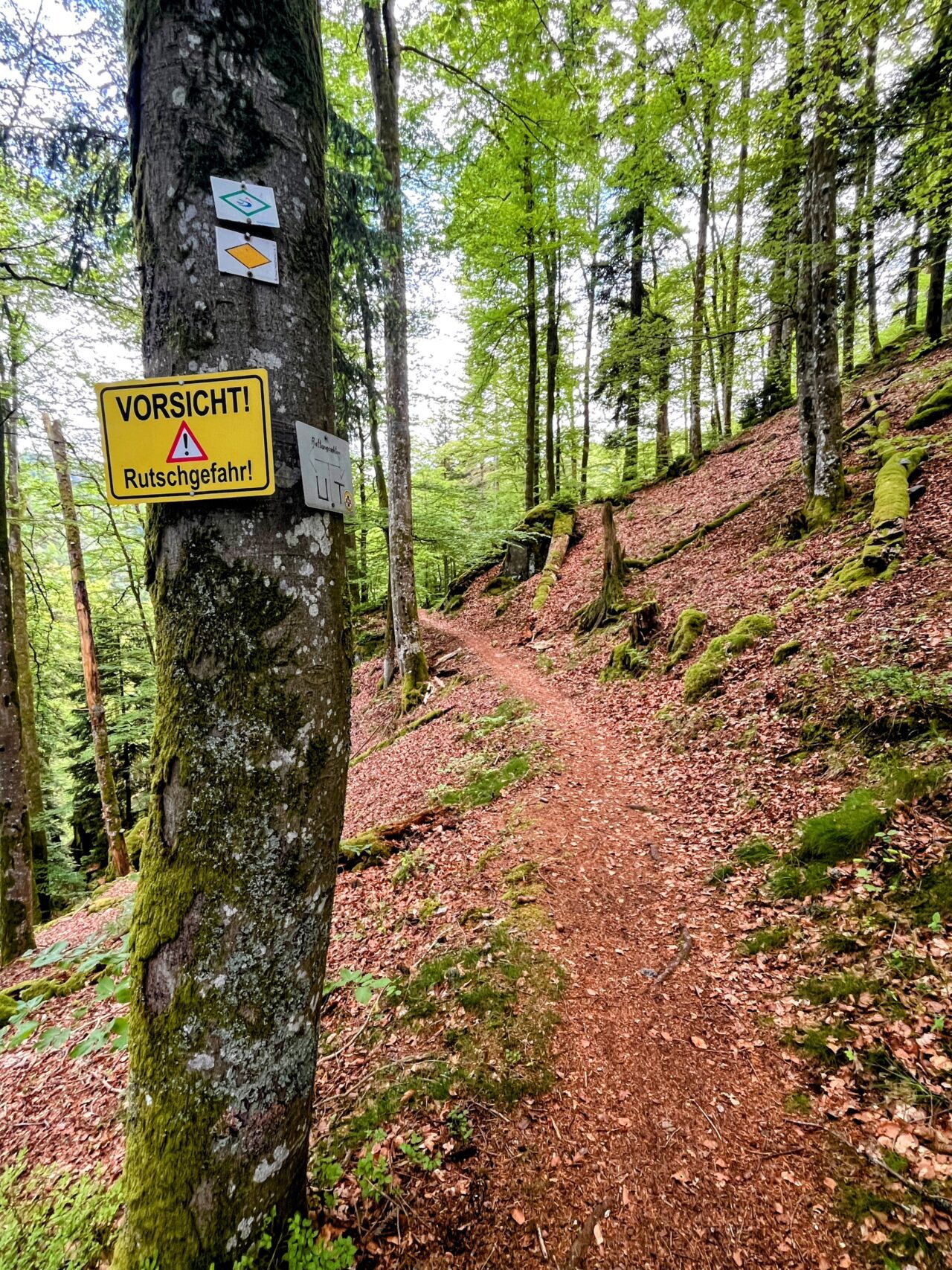 wanderung_schluchtensteig_etappe_5_todtmoos_wehr_