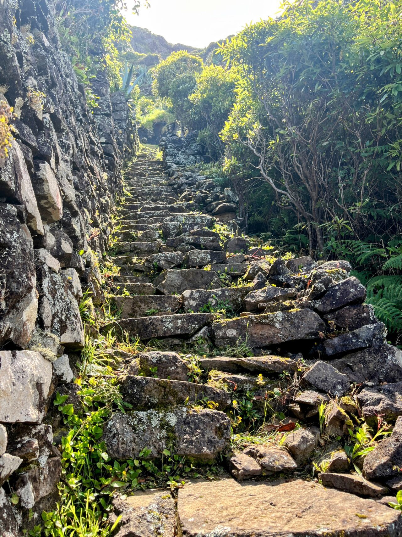 wanderung_ilha_a_pe_tag_2_malbusca_lapa_