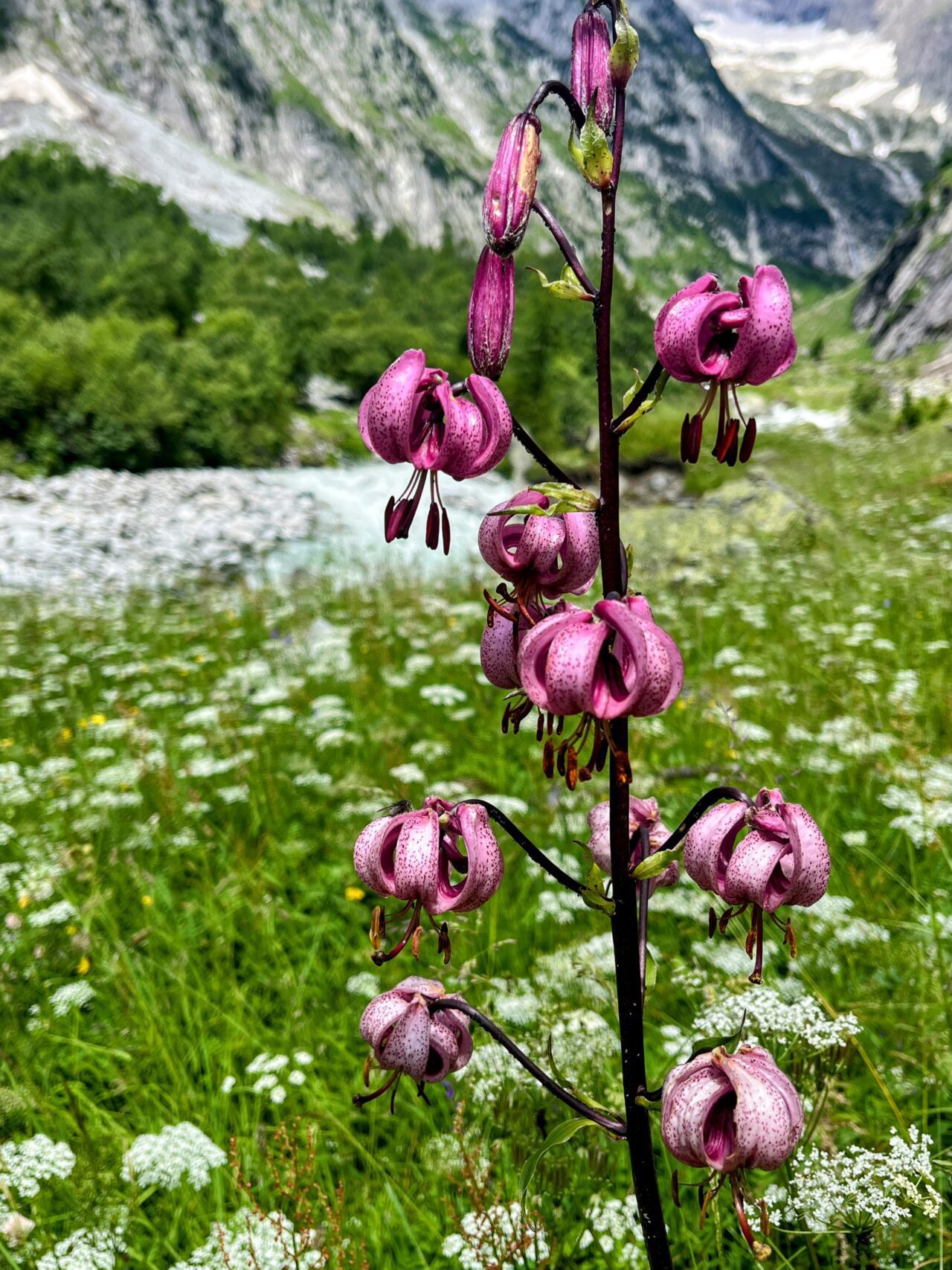 wanderung_baltschiederklause_