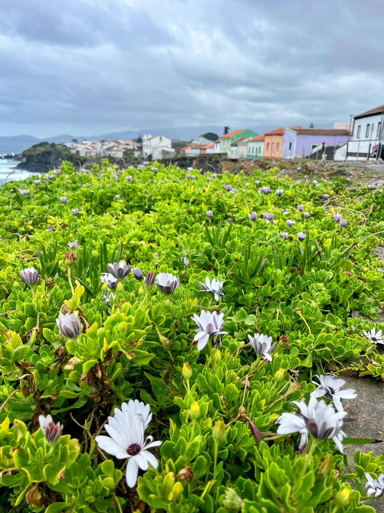 Wanderung_Calhetas_Fenais_da_Luz_