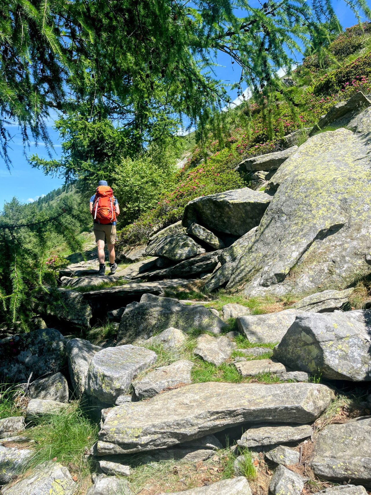 Wanderung_Alta_Via_Vallemaggia_Cimetta_Nimi_Brione_