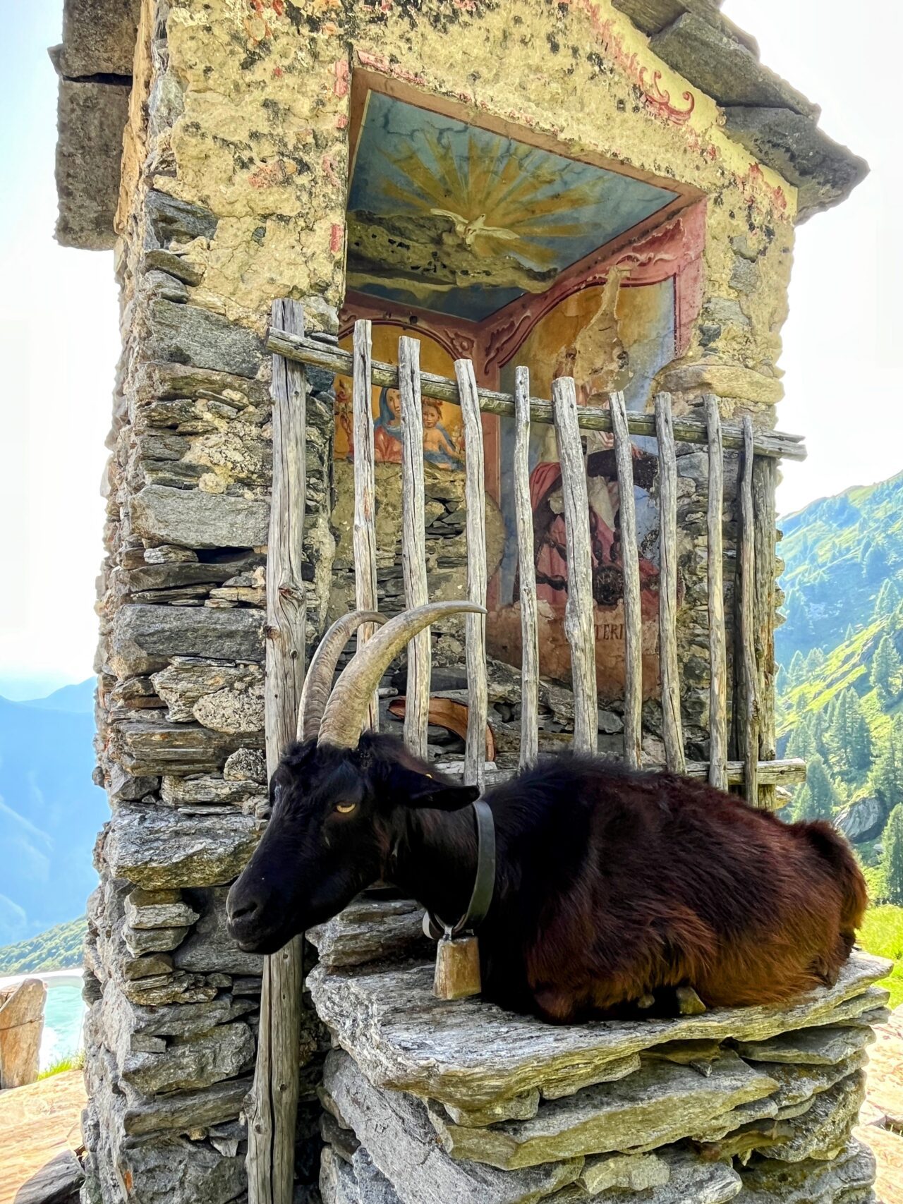 Wanderung_Alta_Via_Vallemaggia_Cimetta_Nimi_Brione_
