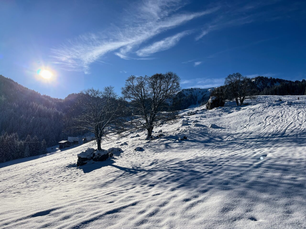 schneeschuhtour_laucherenstoeckli_ibergeregg_brunni_