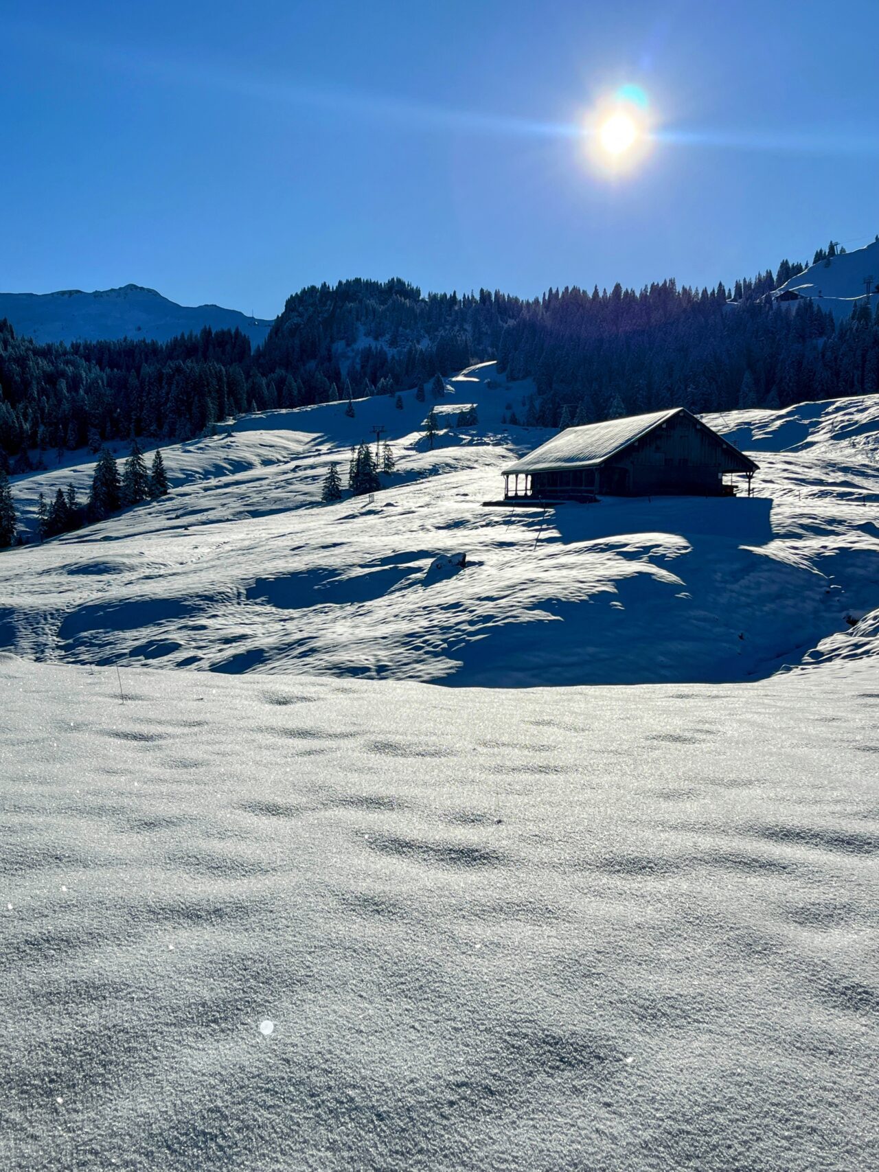 schneeschuhtour_laucherenstoeckli_ibergeregg_brunni_