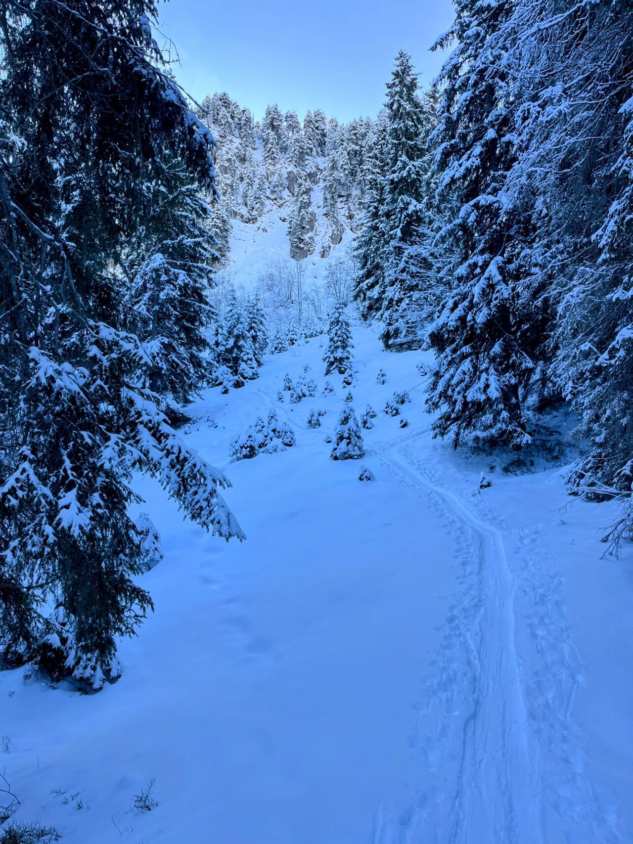 schneeschuhtour_laucherenstoeckli_ibergeregg_brunni_