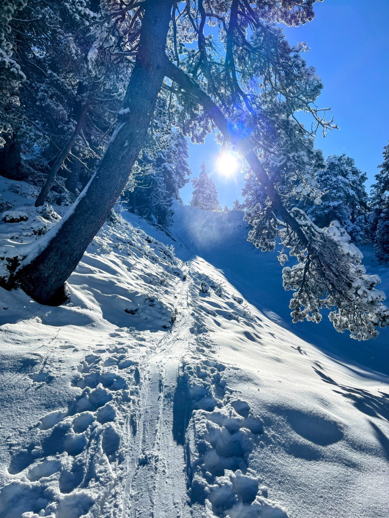schneeschuhtour_laucherenstoeckli_ibergeregg_brunni_