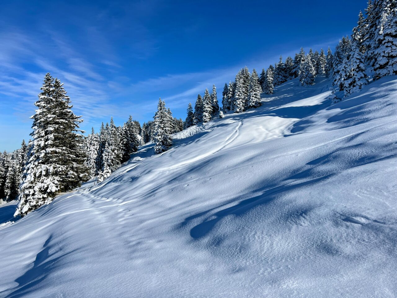 schneeschuhtour_laucherenstoeckli_ibergeregg_brunni_