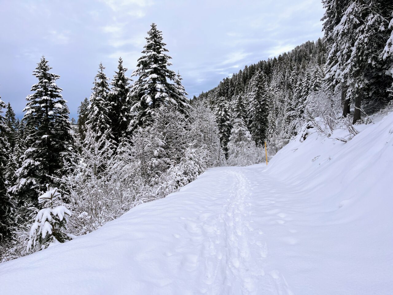 schneeschuhtour_laucherenstoeckli_ibergeregg_brunni_