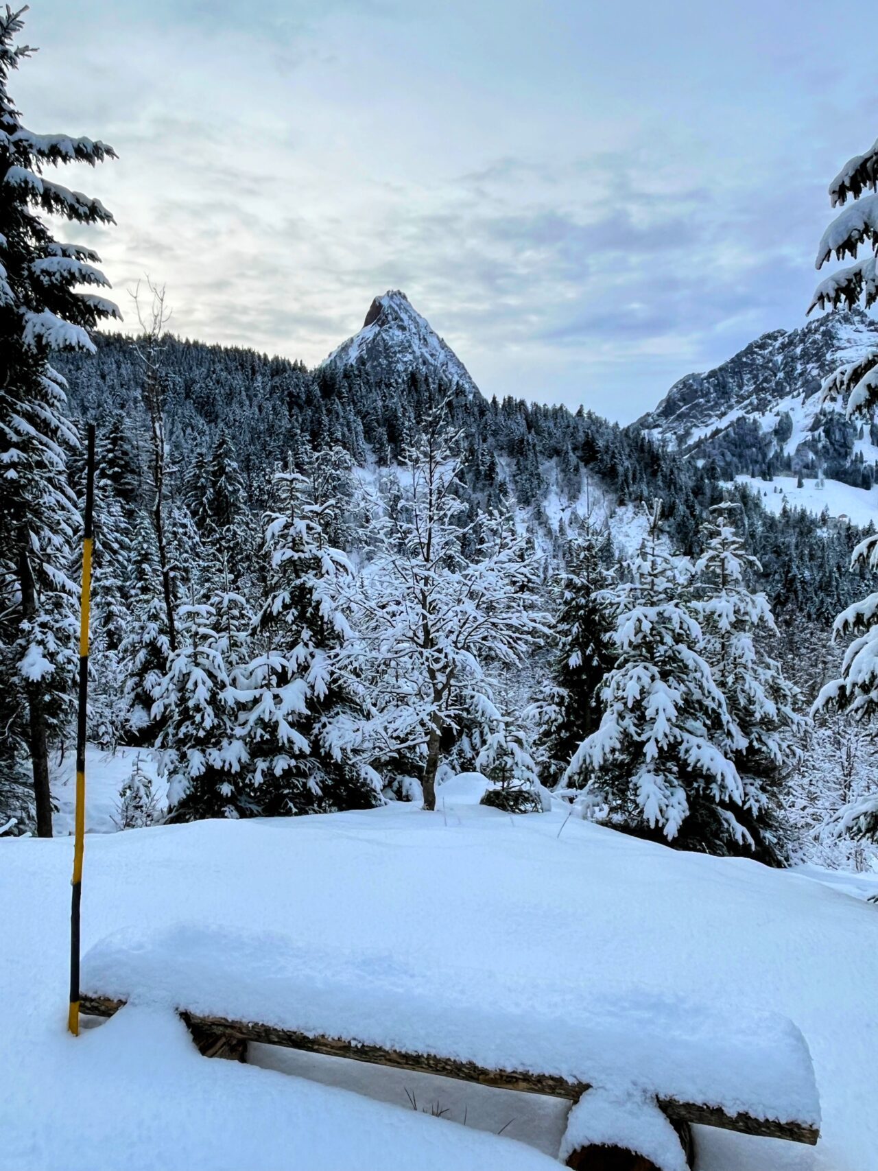 schneeschuhtour_laucherenstoeckli_ibergeregg_brunni_