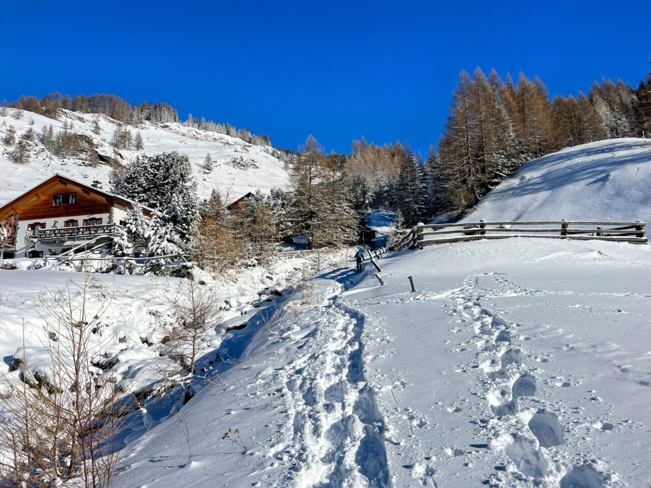 schneeschuhtour_alp_flix_573_schweizmobil_