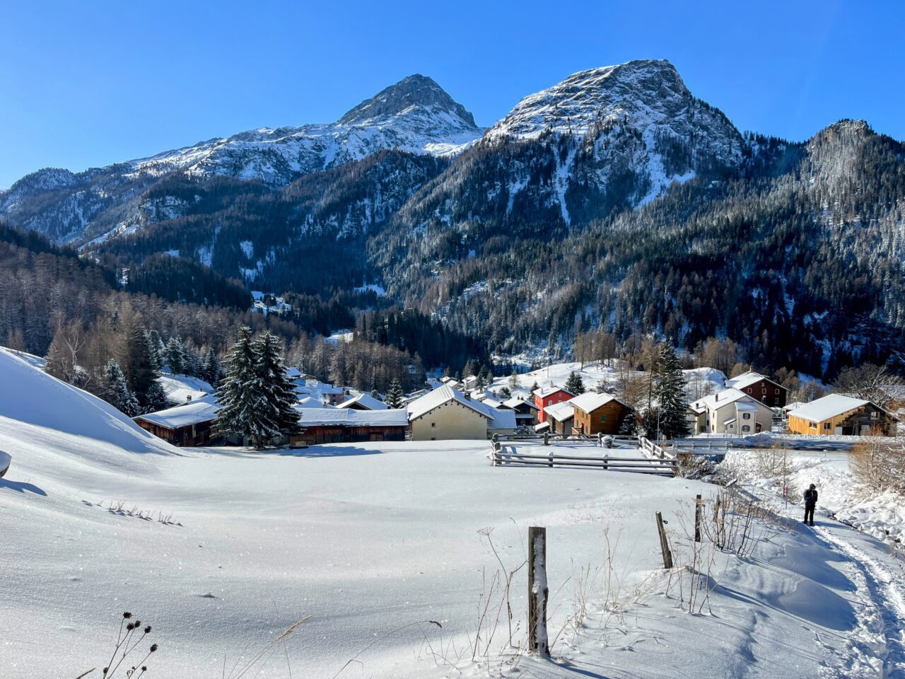 schneeschuhtour_alp_flix_573_schweizmobil_