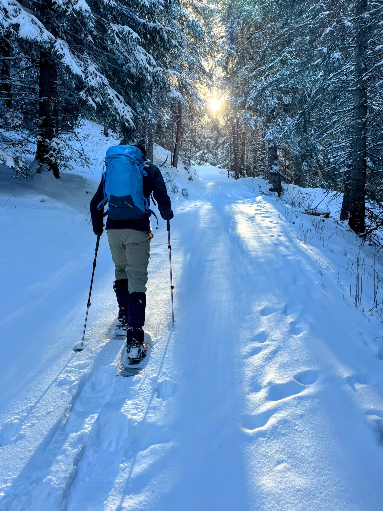 schneeschuhtour_alp_flix_573_schweizmobil_