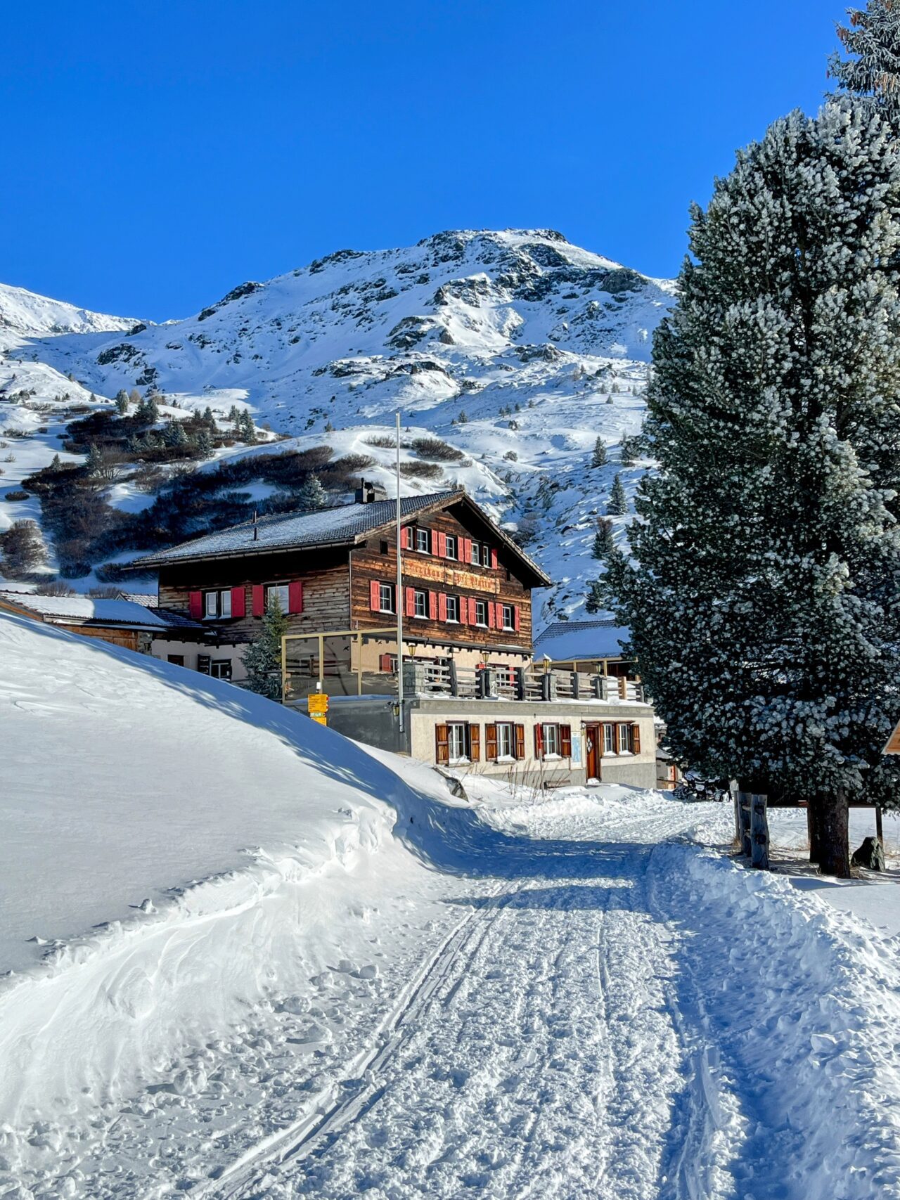 schneeschuhtour_alp_flix_573_schweizmobil_