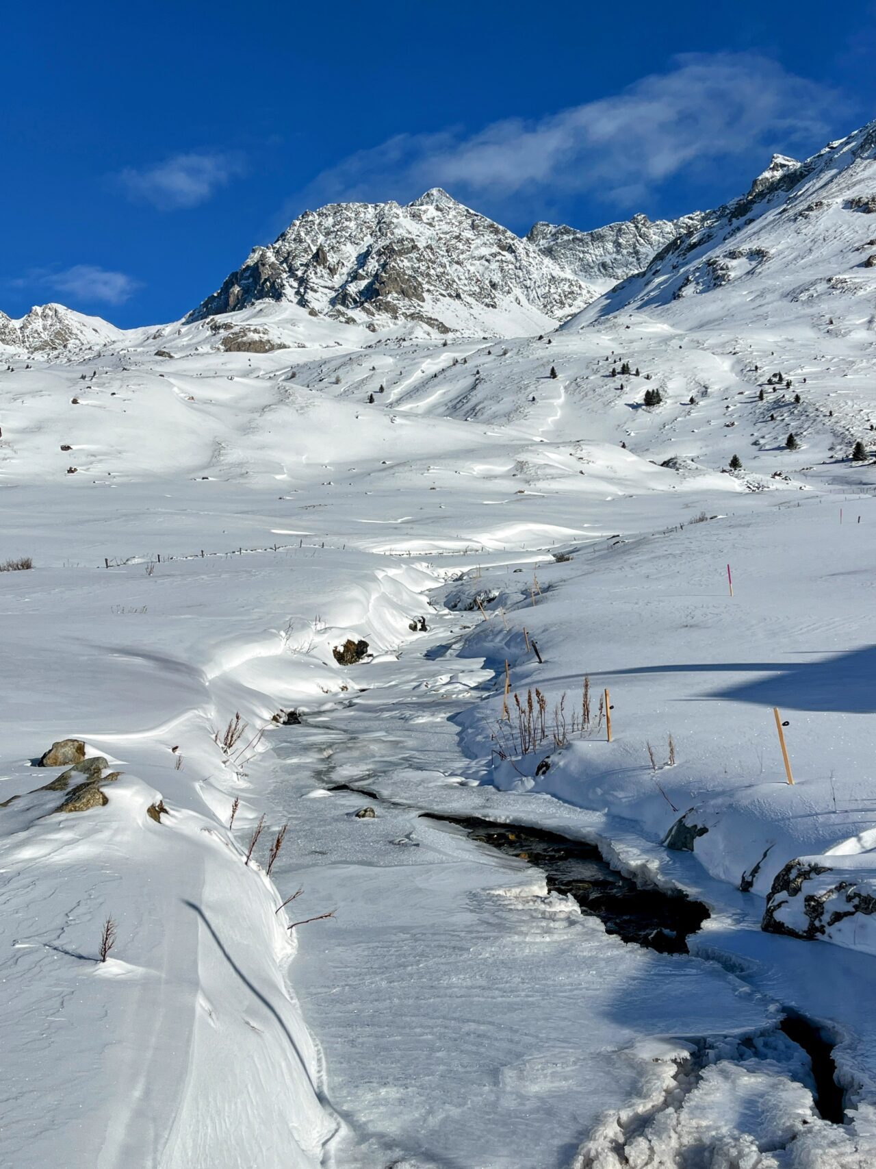schneeschuhtour_alp_flix_573_schweizmobil_