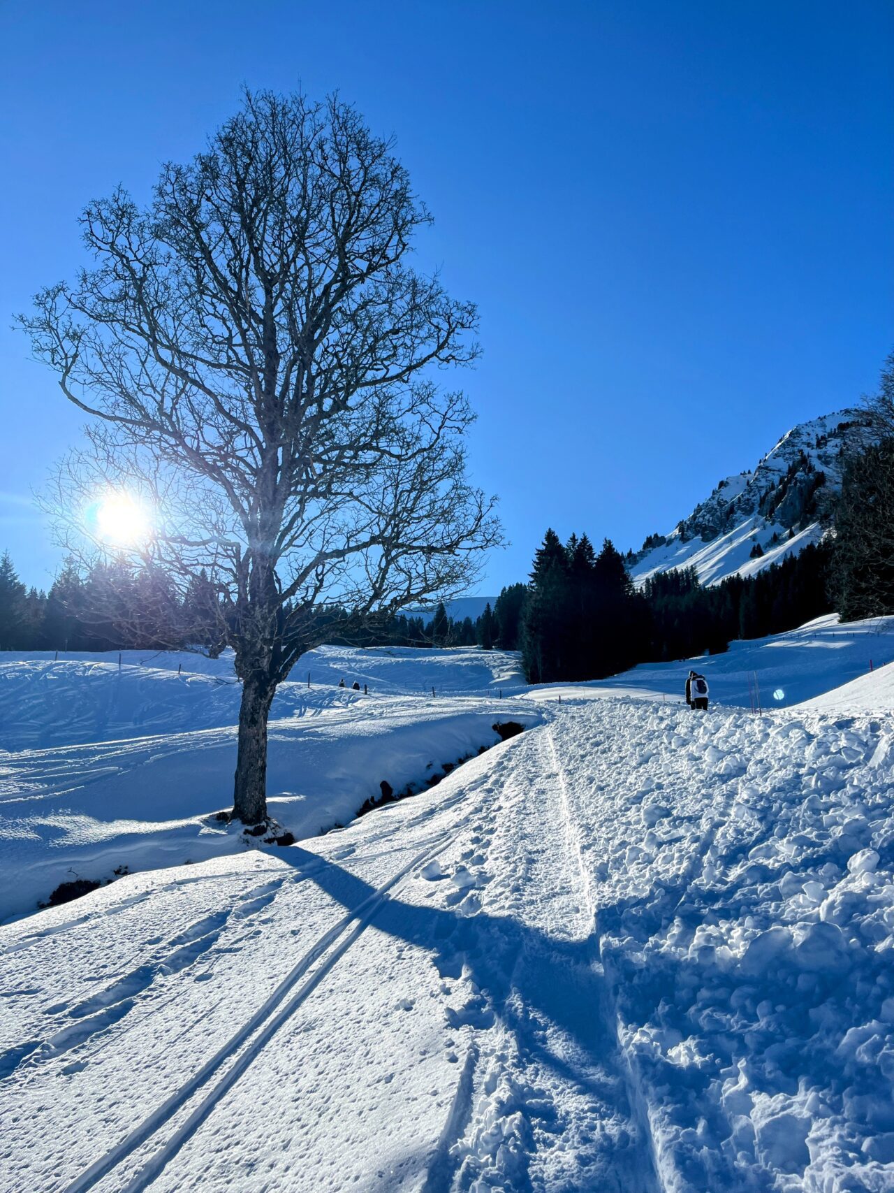 schneeschuhwanderung_wirzweli_arvitrail_chaelenhuette_