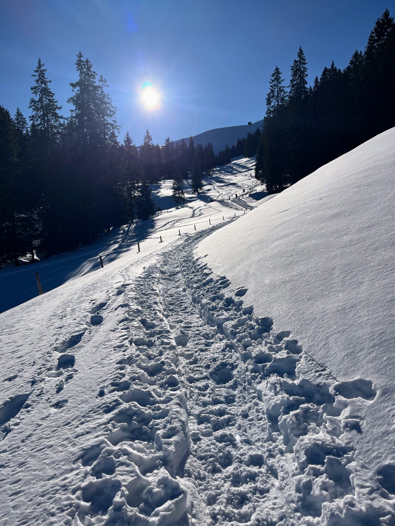 schneeschuhwanderung_wirzweli_arvitrail_chaelenhuette_