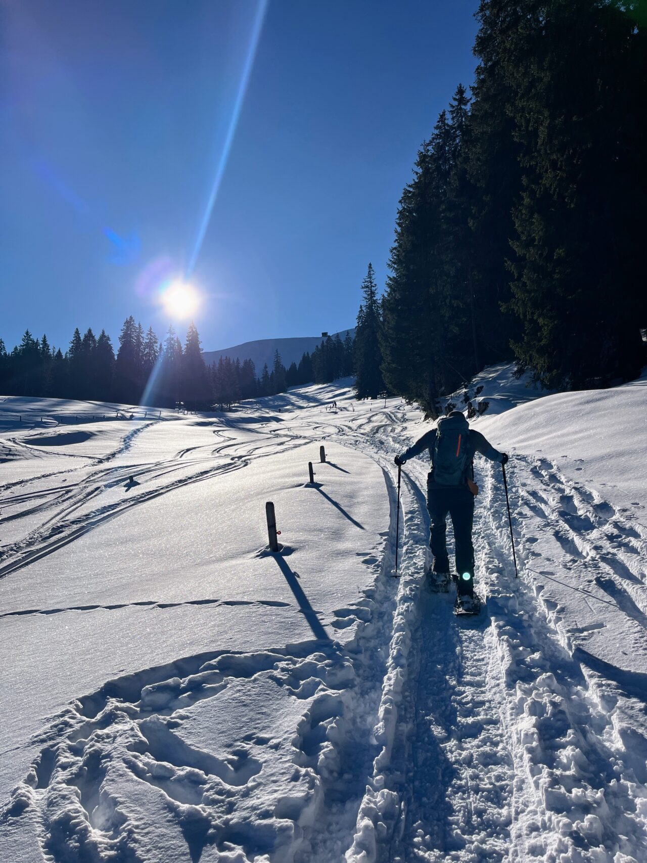schneeschuhwanderung_wirzweli_arvitrail_chaelenhuette_