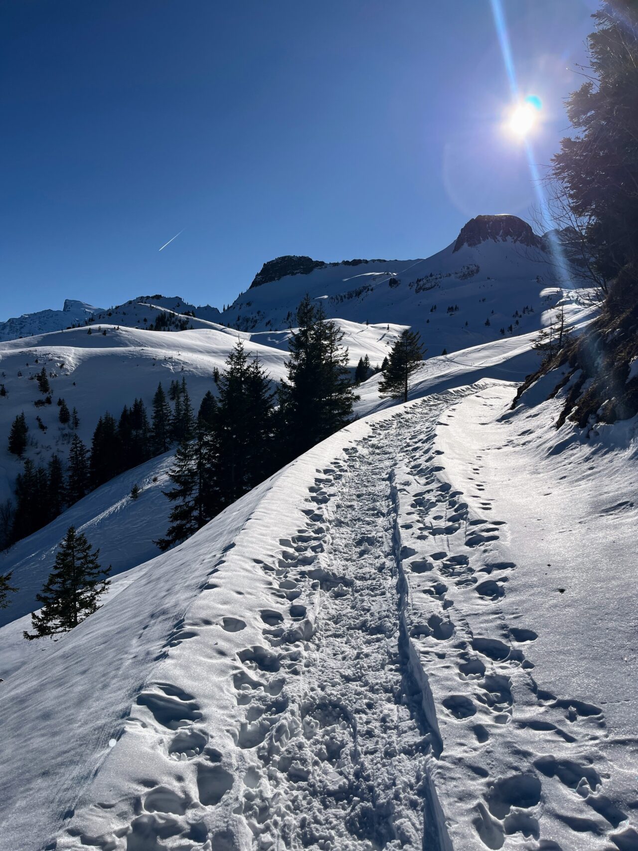 schneeschuhwanderung_wirzweli_arvitrail_chaelenhuette_