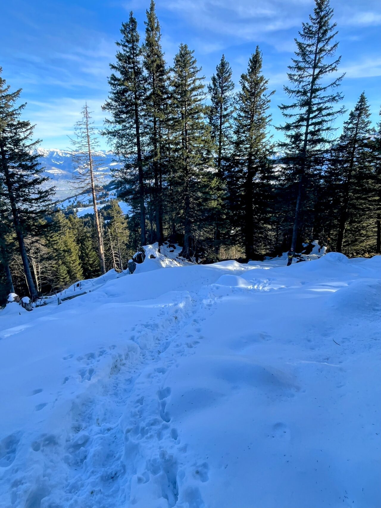 winterwanderung_fähnerenspitz_