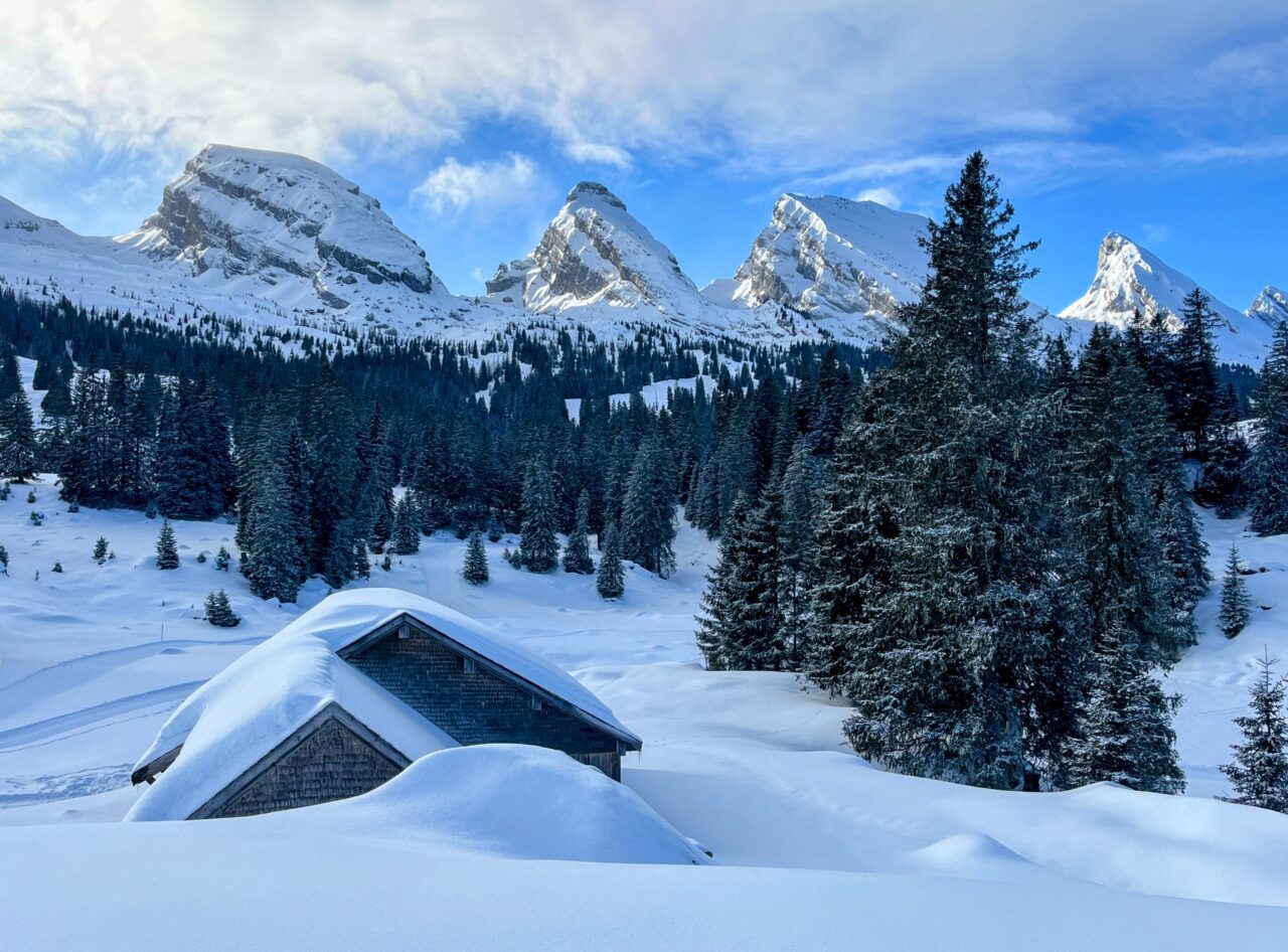 schneeschuhwandern_alp_sellamatt_fruemseltal_