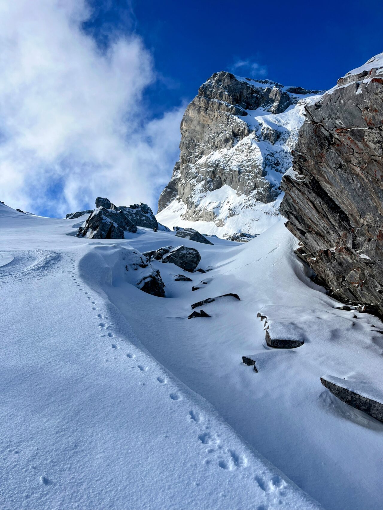schneeschuhwandern_alp_sellamatt_fruemseltal_