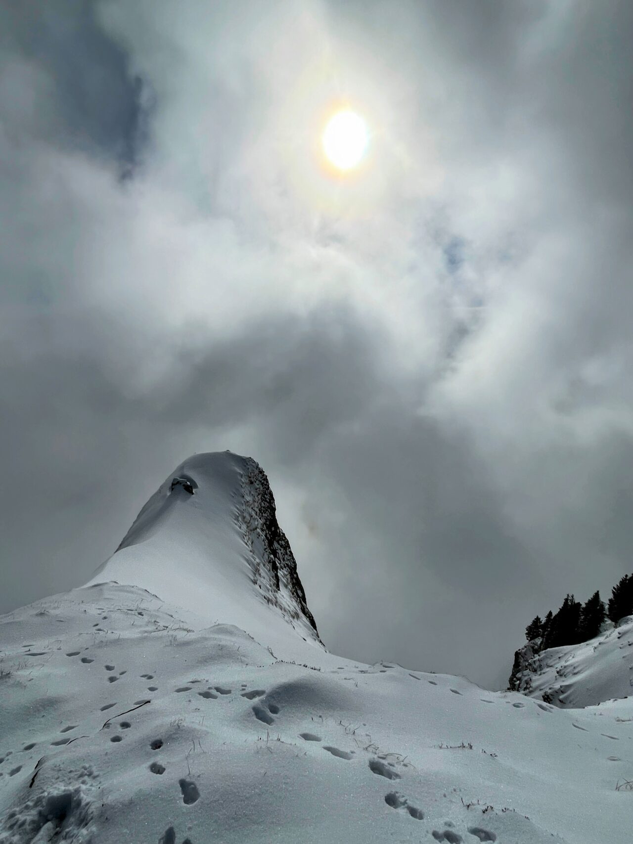 schneeschuhwandern_alp_sellamatt_fruemseltal_