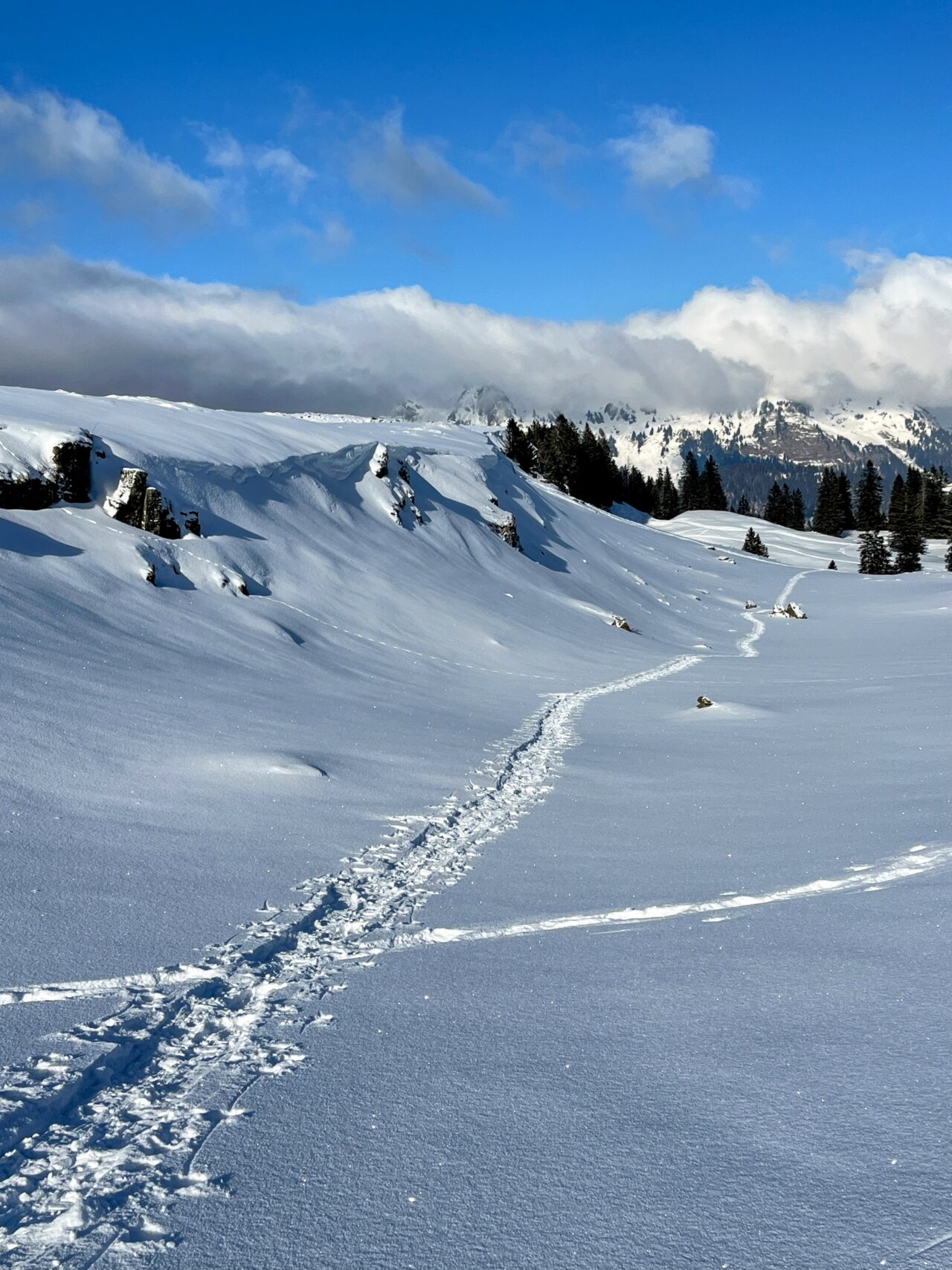 schneeschuhwandern_alp_sellamatt_fruemseltal_