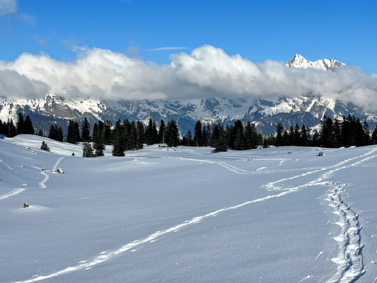 schneeschuhwandern_alp_sellamatt_fruemseltal_