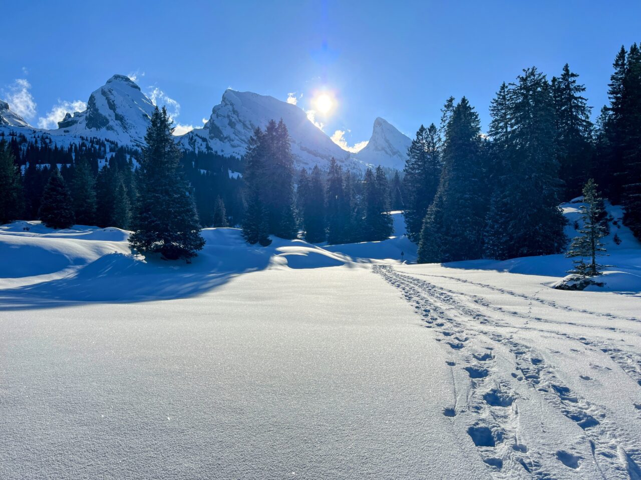 schneeschuhwandern_alp_sellamatt_fruemseltal_