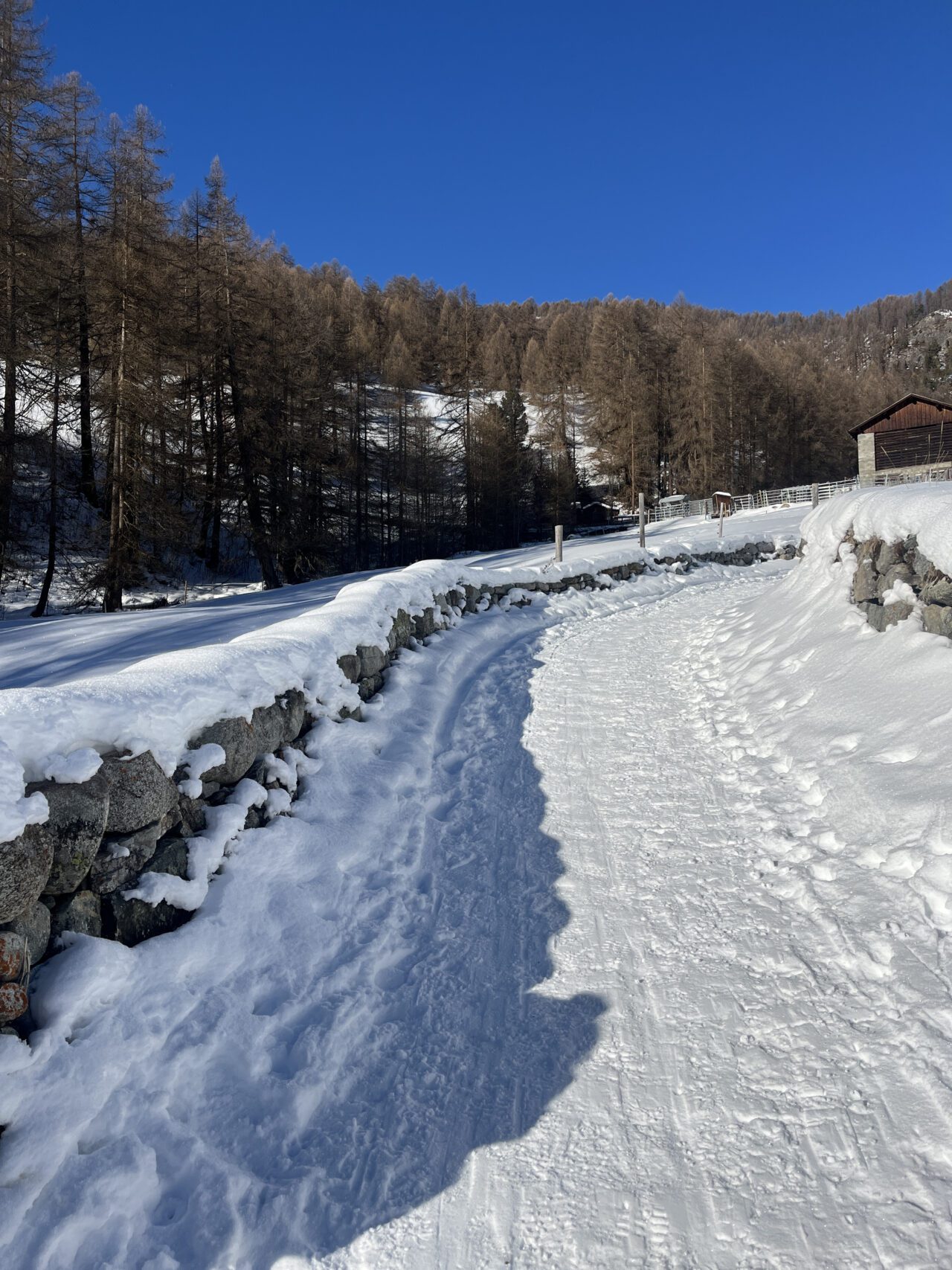 schneeschuhwandern_madulain_eschahuette_