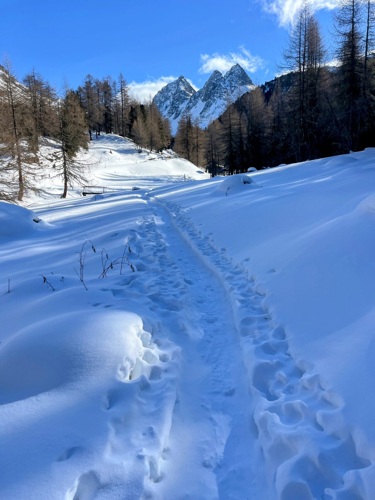 wanderung_preda_albulapass_punt_