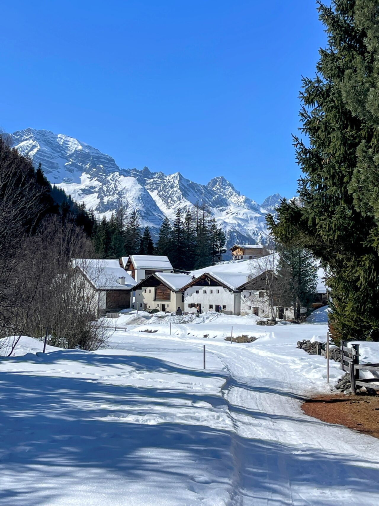 schneeschuhwanderung_bergün_keschhütte_