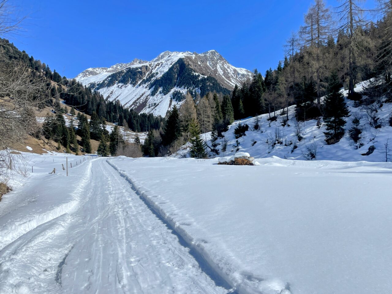 schneeschuhwanderung_bergün_keschhütte_
