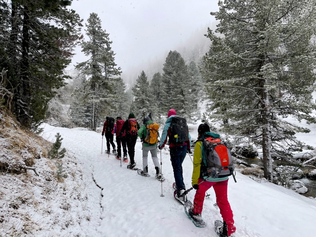 schneeschuhtour_via_silenzi_tag_1_s_charl_lü_