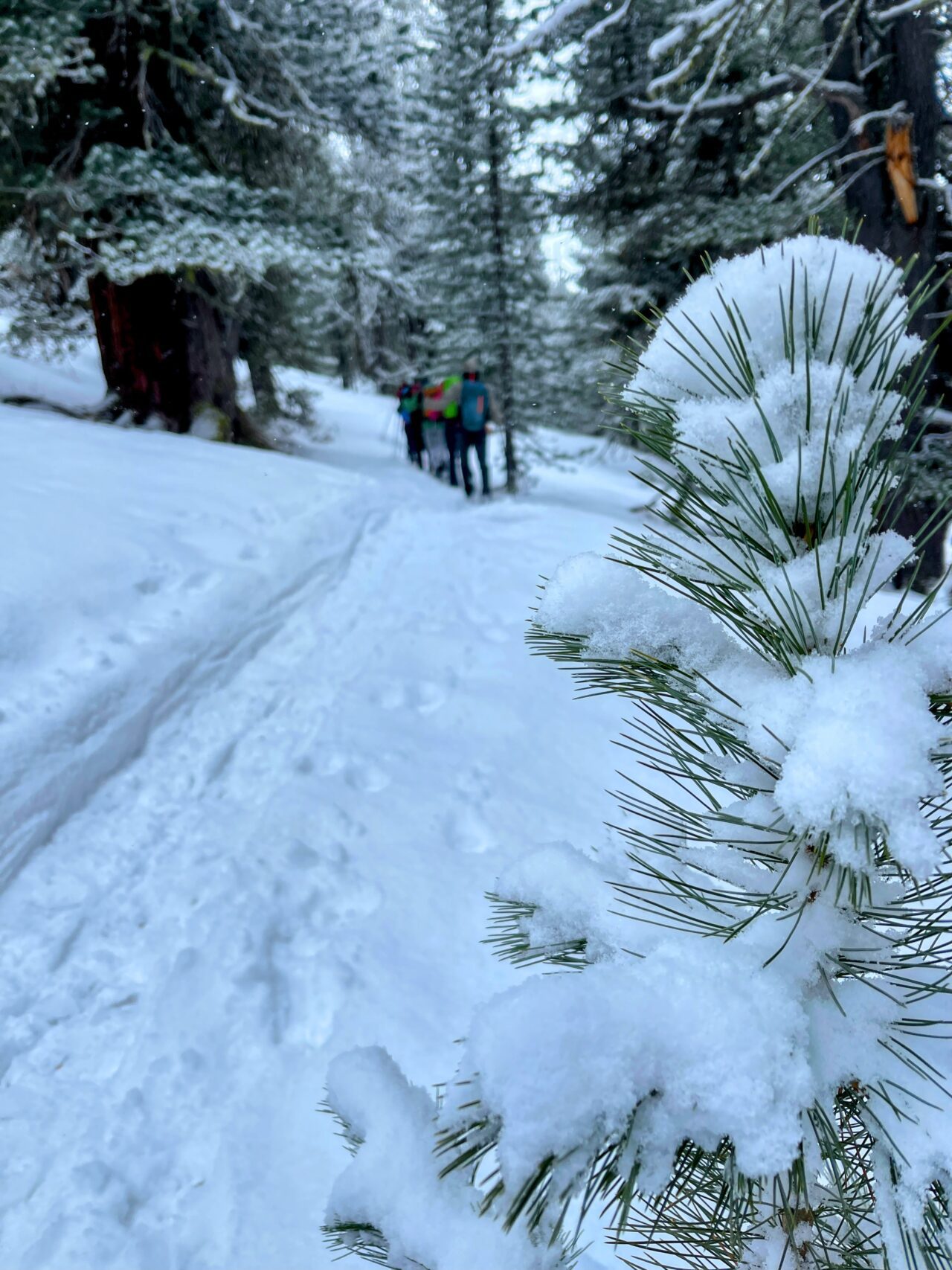schneeschuhtour_via_silenzi_tag_1_s_charl_lü_