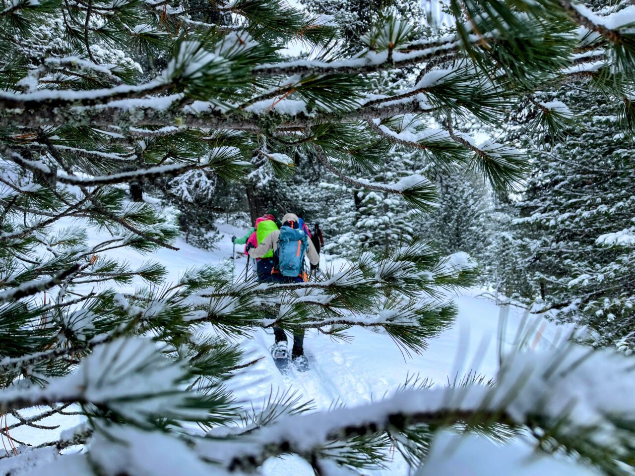 schneeschuhtour_via_silenzi_tag_1_s_charl_lü_