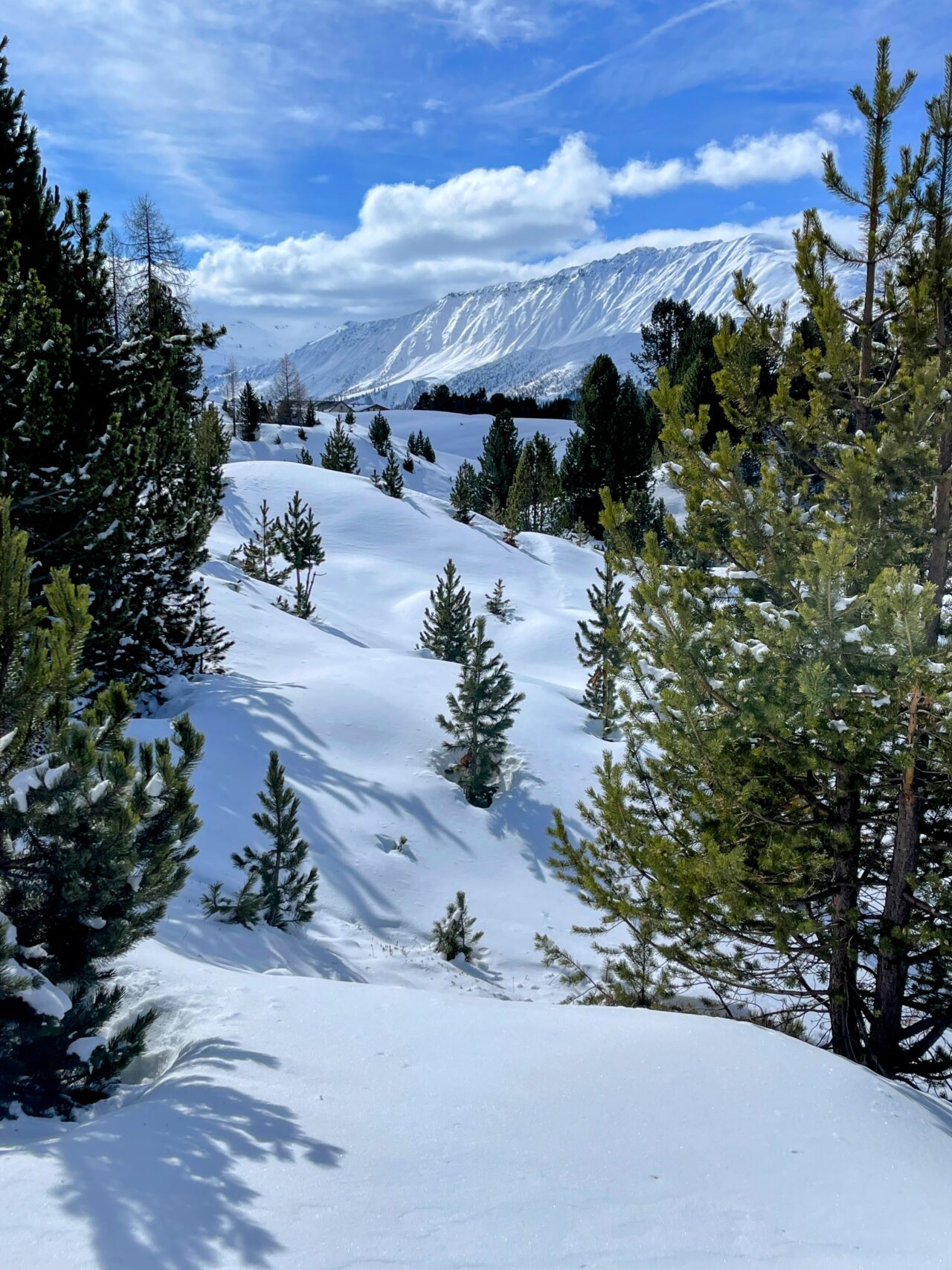 schneeschuhtour_via_silenzi_tag_2_lü_ofenpass_
