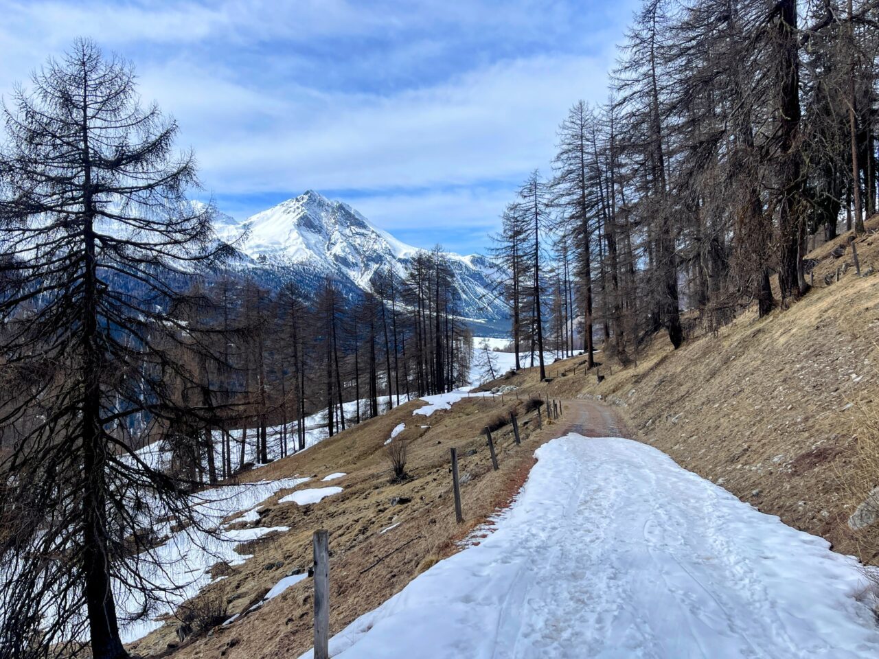 winterwanderung_lü_santa_maria_