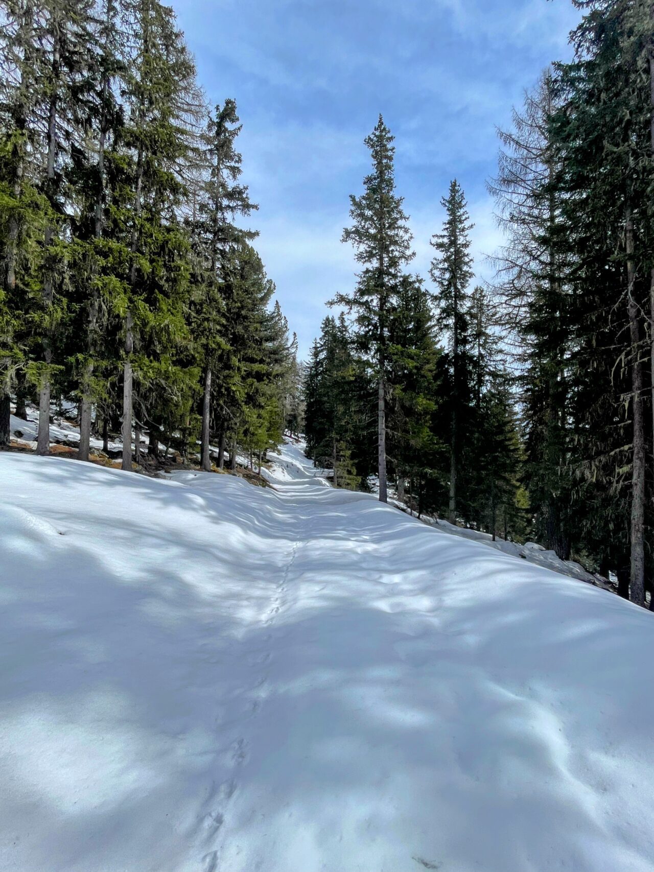 winterwanderung_lü_santa_maria_