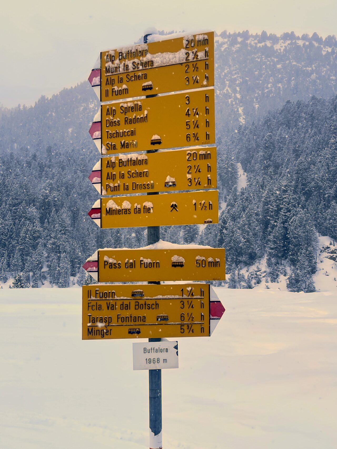 schneeschuhwanderung_buffalora_