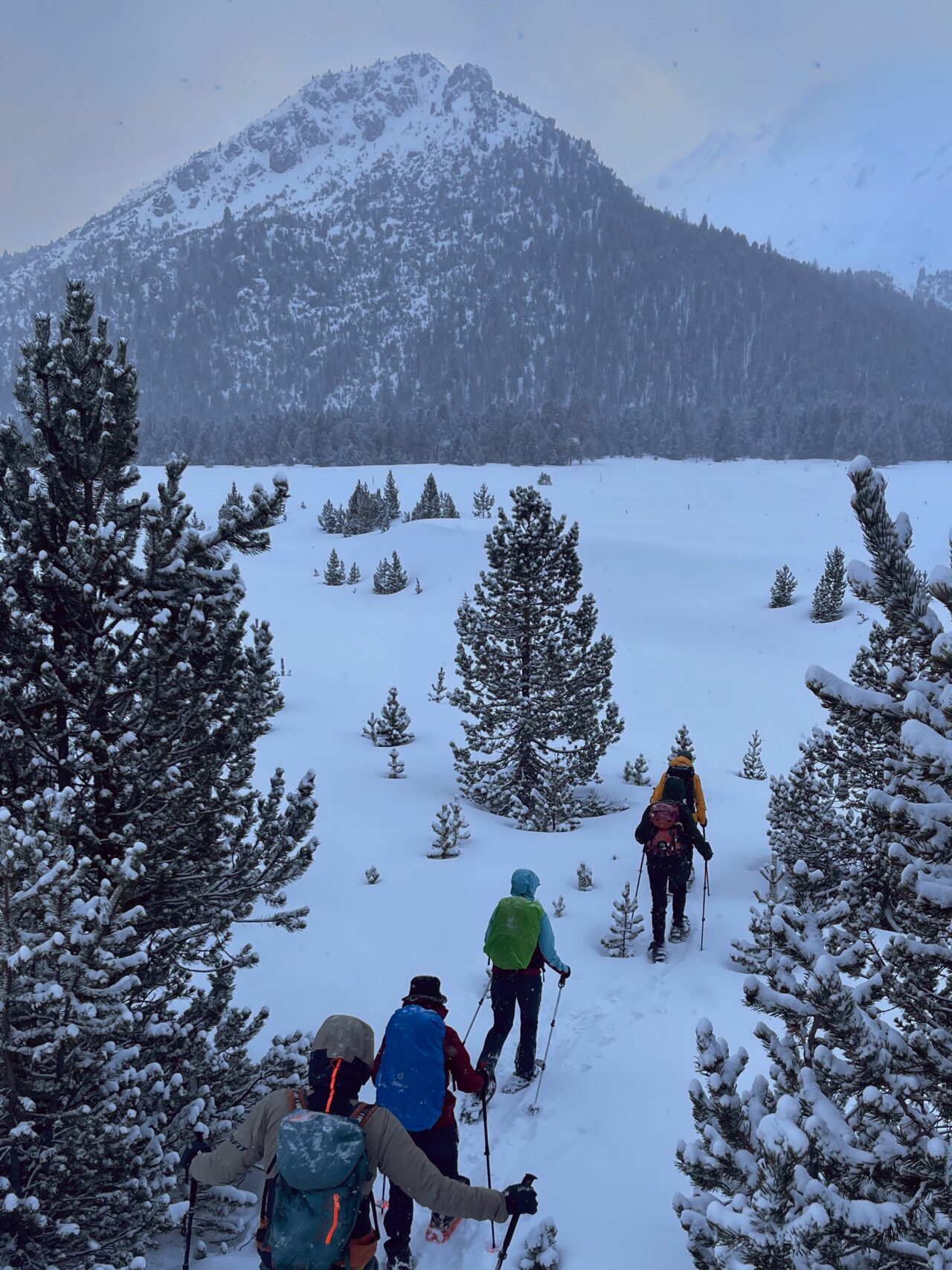 schneeschuhwanderung_buffalora_