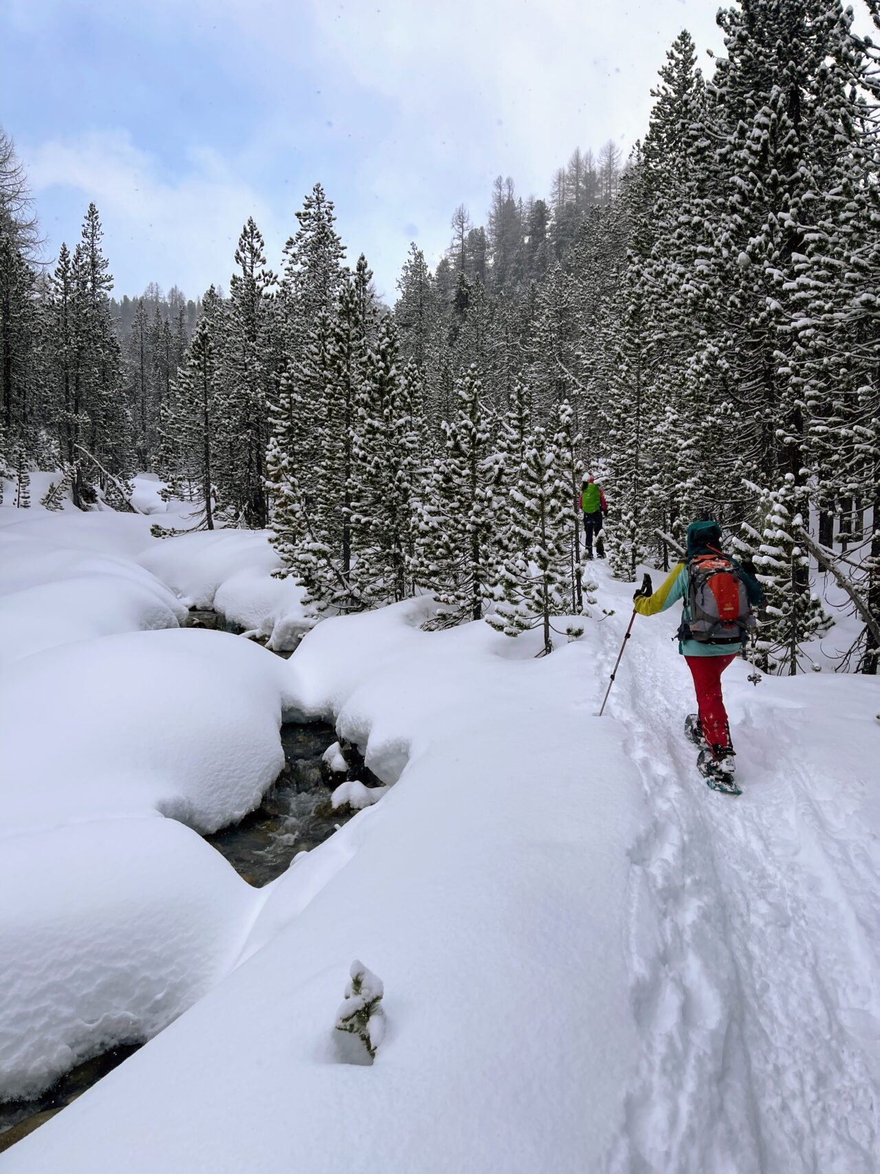 schneeschuhwanderung_buffalora_