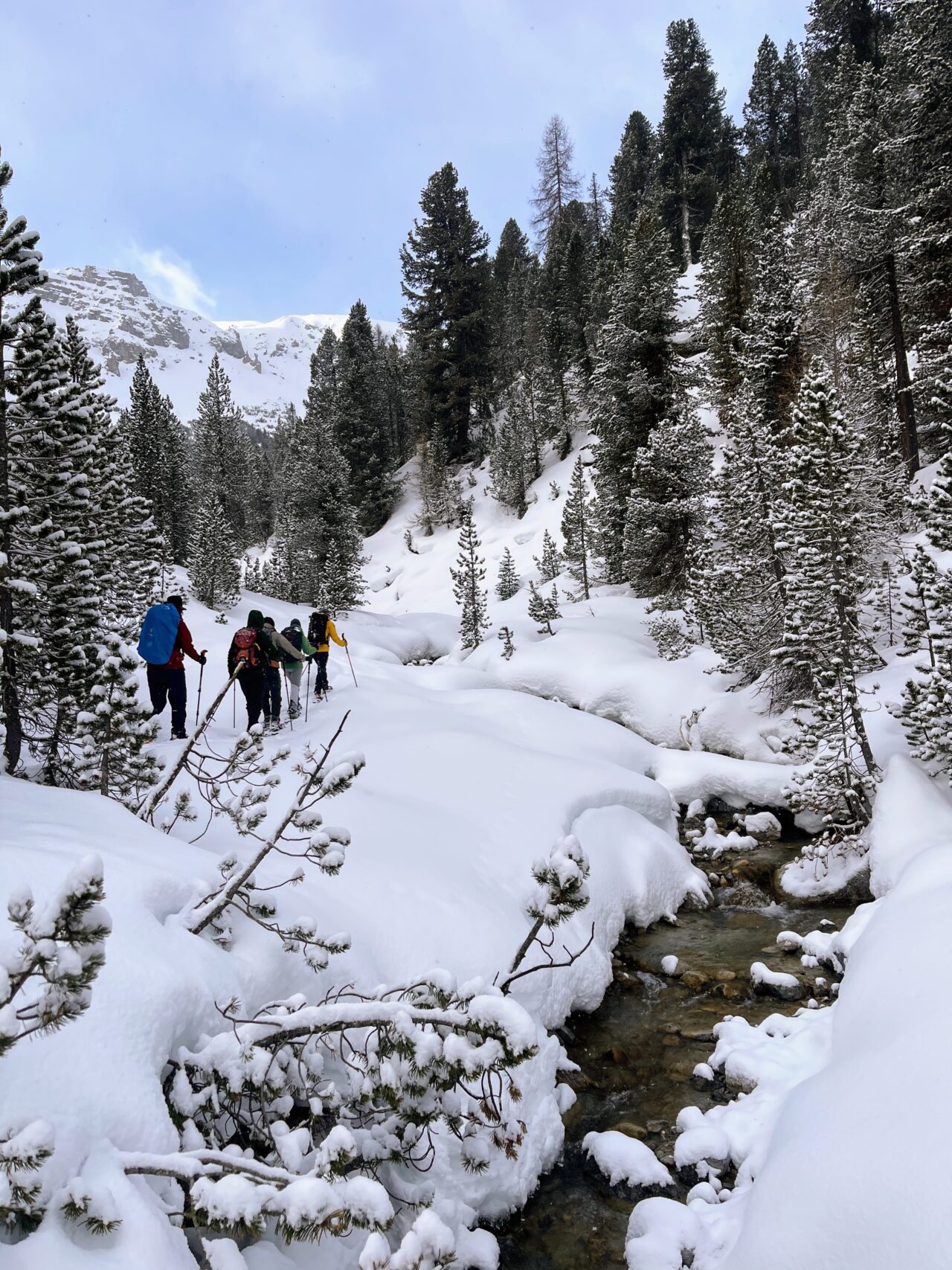 schneeschuhwanderung_buffalora_