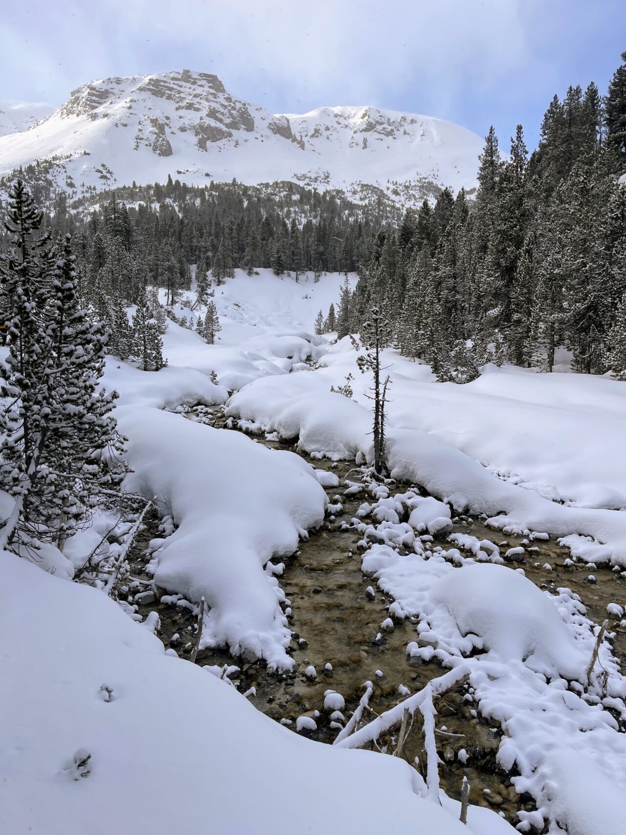 schneeschuhwanderung_buffalora_