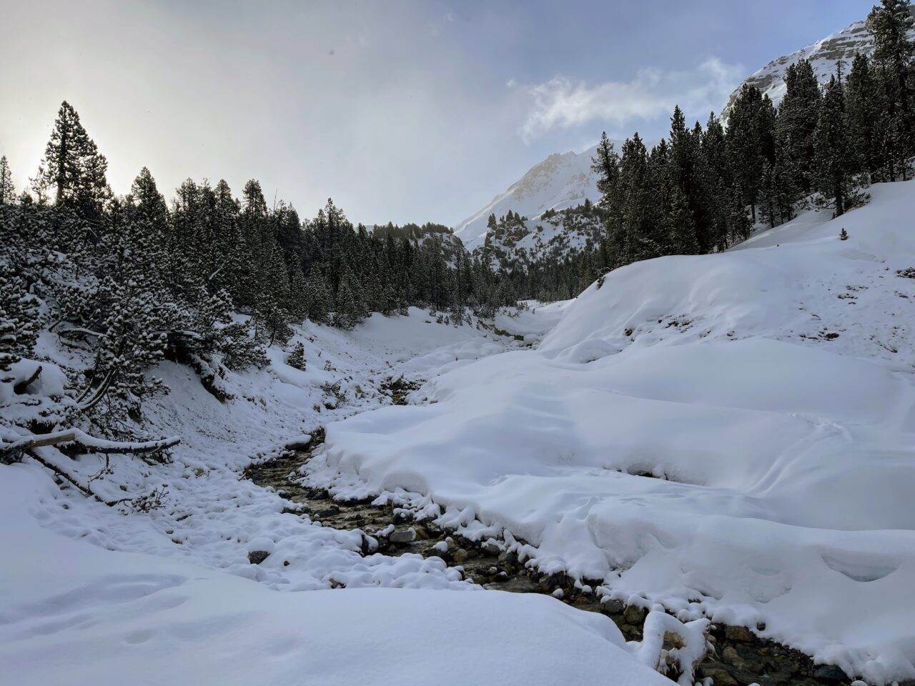 schneeschuhwanderung_buffalora_