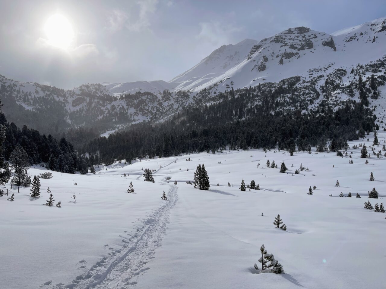 schneeschuhwanderung_buffalora_