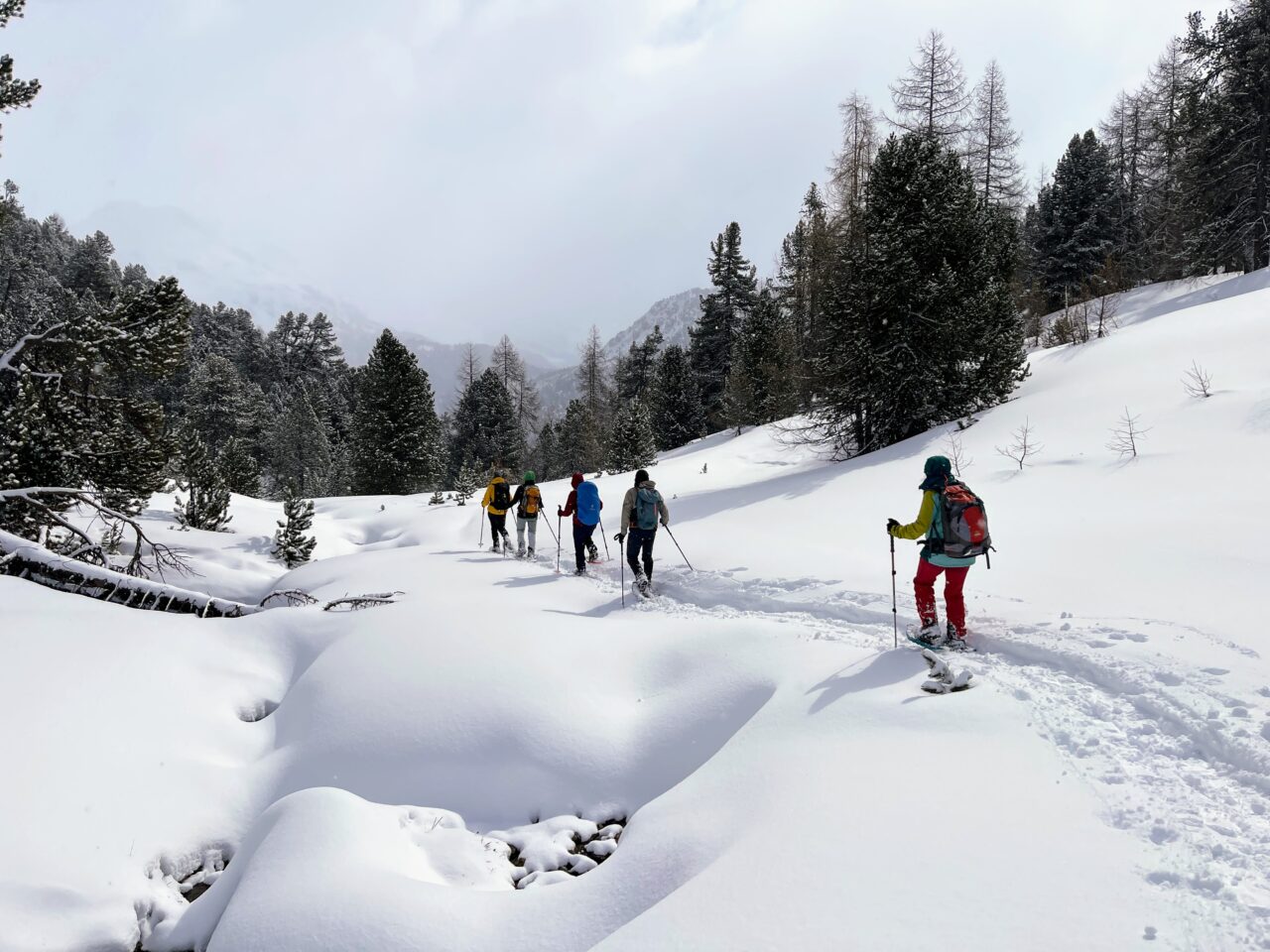 schneeschuhwanderung_buffalora_