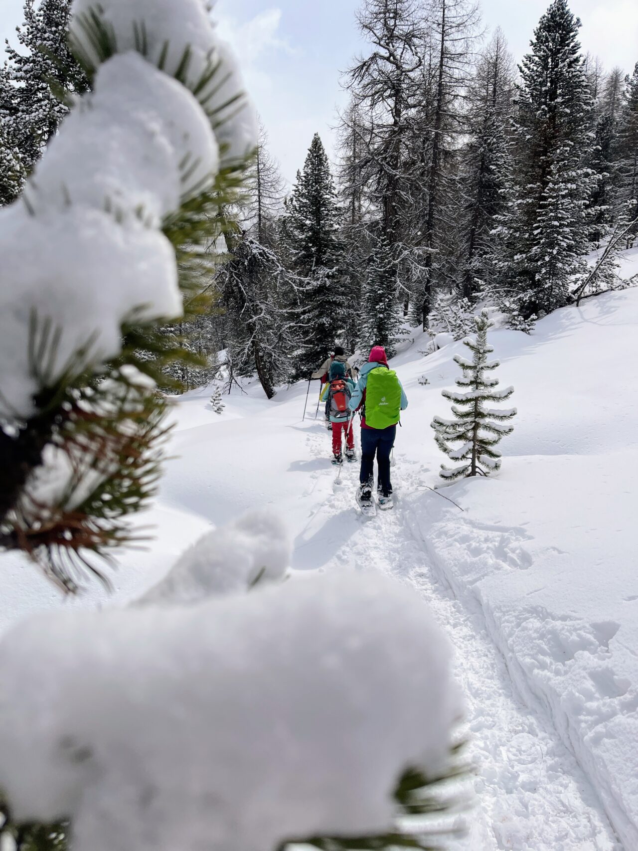 schneeschuhwanderung_buffalora_